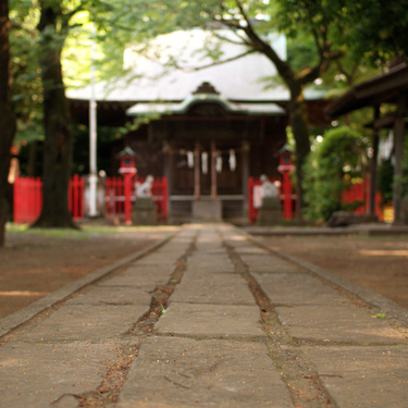 金運神社おすすめランキングtop35 日本国内のご利益のある神社はどこ 3ページ目 Travelnote トラベルノート