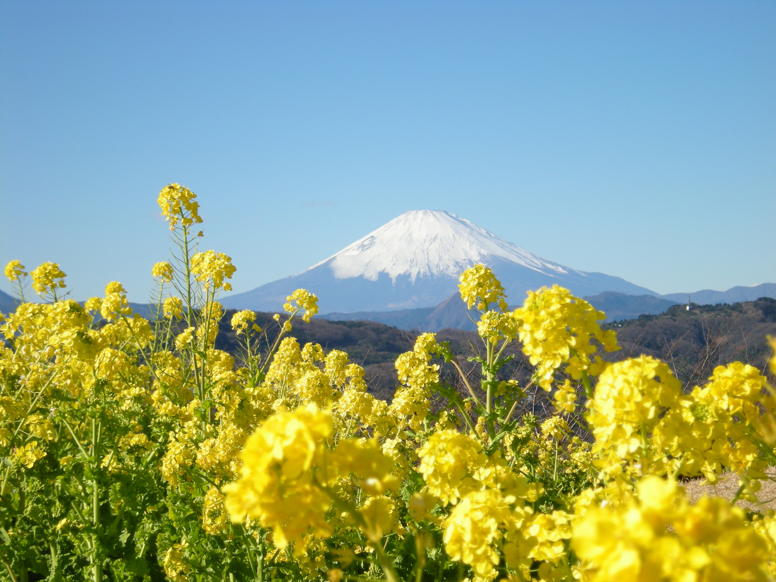 富士山と初日の出を写真に ダイヤモンド富士のおすすめスポットや穴場も紹介 Travelnote トラベルノート