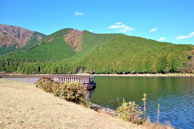 静岡キャンプ場はココがおすすめ！コテージや人気の川遊びに釣りができる所も！