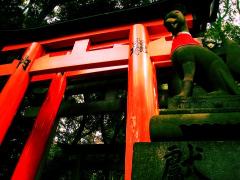 長崎県の神社を紹介！パワースポットでは御朱印やお守りが人気！