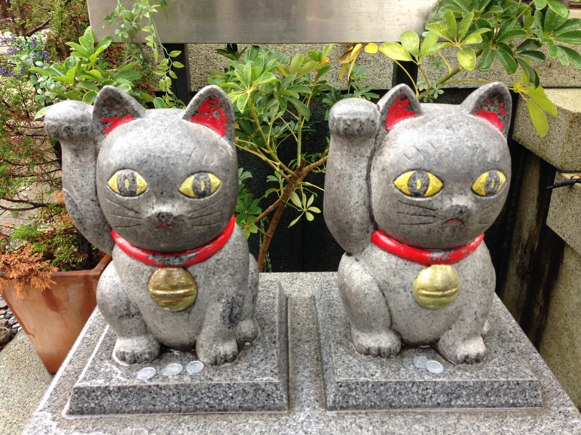 猫神社が東京にも 可愛いお守りや全国の有名スポットもまとめてご紹介 Travelnote トラベルノート