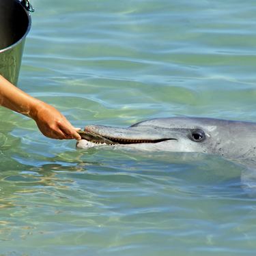 大分の水族館 うみたまご の割引券 クーポン情報まとめ お得な料金で遊ぼう Travelnote トラベルノート