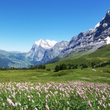 スイス旅行の費用やベストシーズンは 人気観光地への持ち物リストも Travelnote トラベルノート