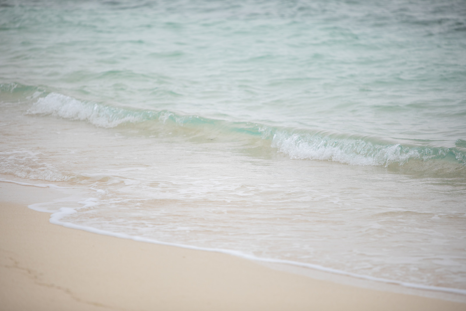 プエルトガレラのホワイトビーチ！行き方や楽しみ方を紹介！ダイビングも人気！