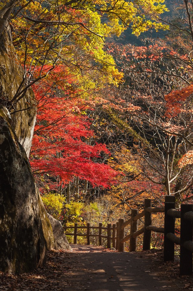 紅葉狩りで秋を満喫！最適な服装や名所・時期に関西・関東のおすすめの場所を紹介