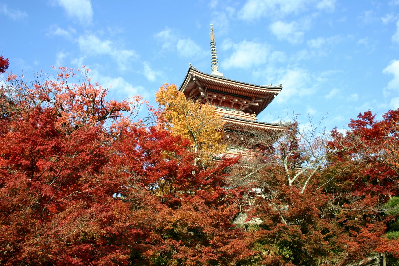 秋デートのおすすめスポットは？関東・関西のカップルに人気の名所など！