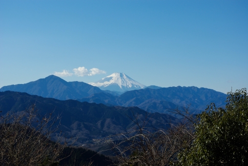 高尾山観光のおすすめスポットまとめ デートも家族旅行も楽しめる Travelnote トラベルノート