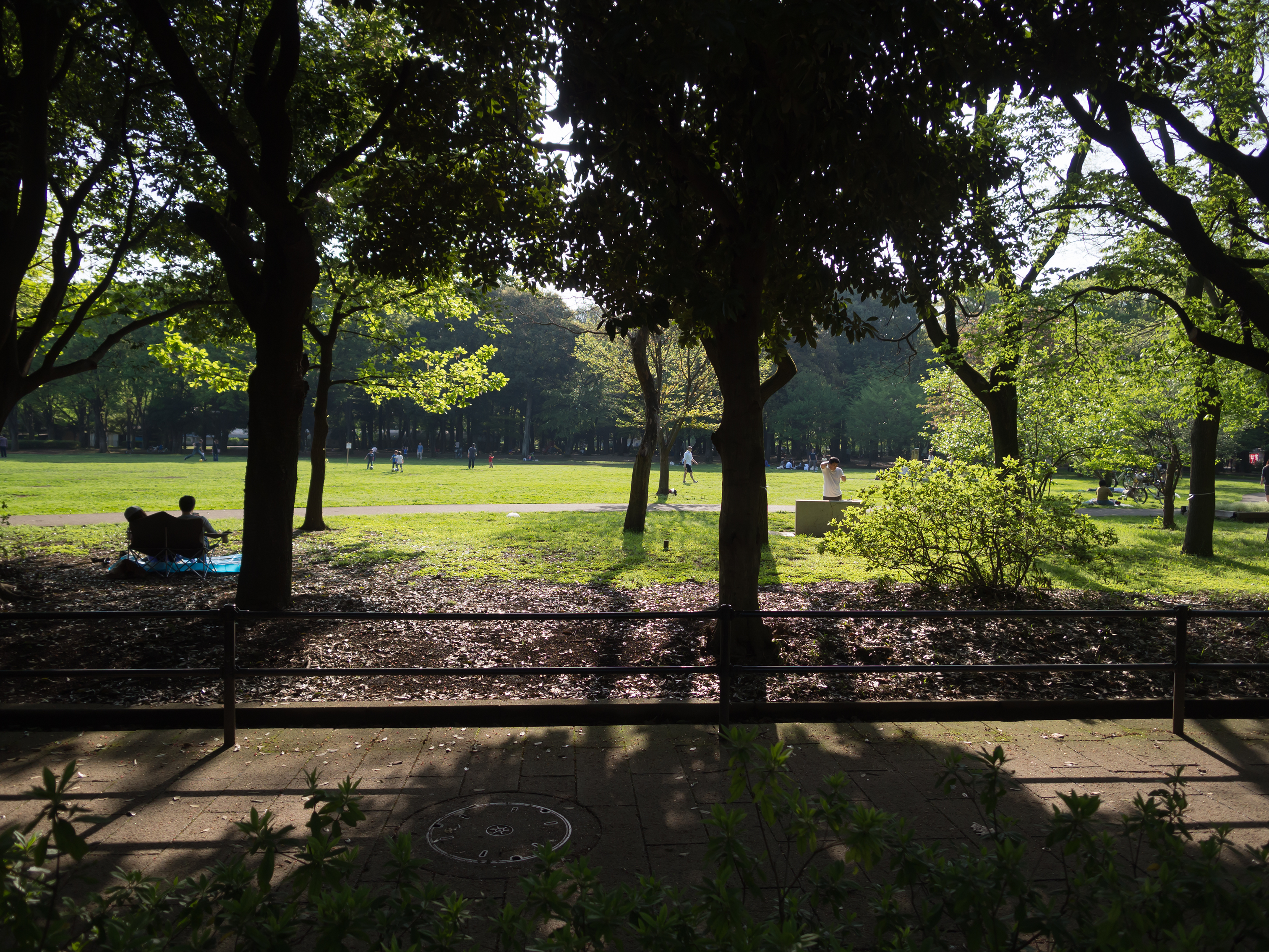 東京で人気の公園を紹介 のんびりデートも子供とのおでかけにもおすすめ Travelnote トラベルノート