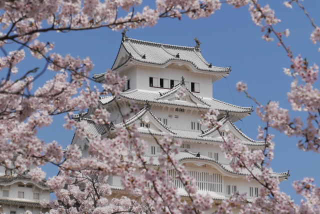 姫路城の桜の見頃は おすすめの撮影スポットや穴場情報もあり Travelnote トラベルノート