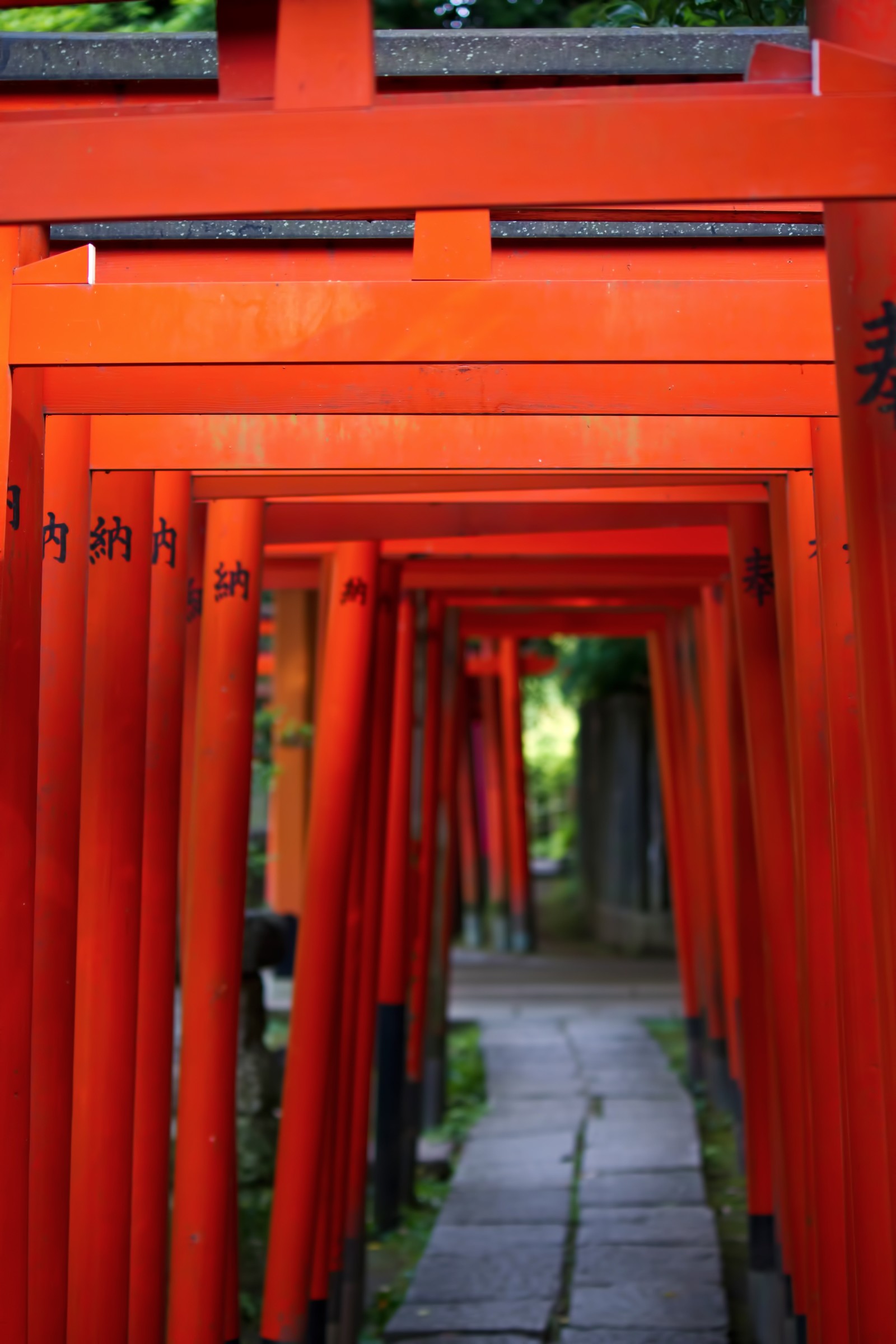 祐徳稲荷神社はパワースポット アクセス方法や気になるご利益を紹介 Travelnote トラベルノート