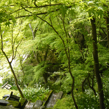 京都 修学院離宮の魅力 絶景の紅葉を予約で拝観 当日受付もあり Travelnote トラベルノート