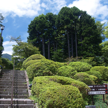 平塚の観光スポットと見どころ11選 デートやドライブにもおすすめ Travelnote トラベルノート