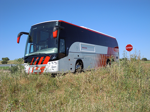 牛久の観光スポットは 大仏周辺やアウトレット グルメなど見どころいろいろ Travelnote トラベルノート