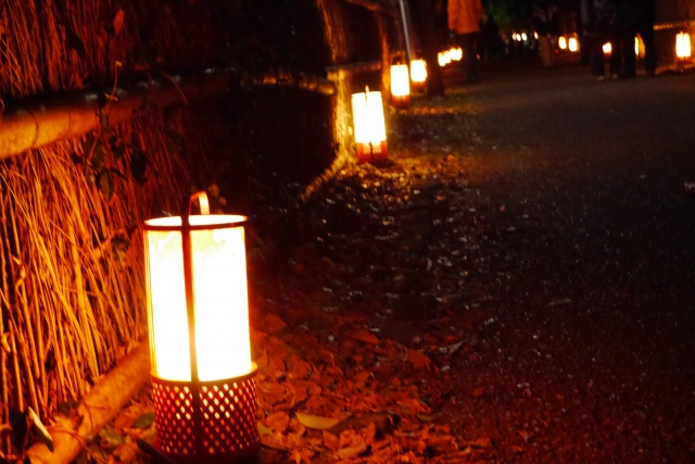 京都 嵐山花灯路の魅力 夜の嵯峨野に幻想的なかがやき 日程やルートも Travelnote トラベルノート