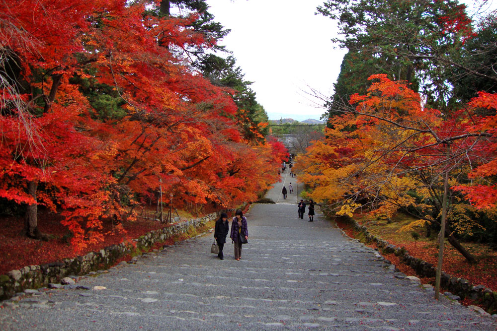 京都・二尊院は嵐山の観光スポット！紅葉シーズンの参道は感動必至！