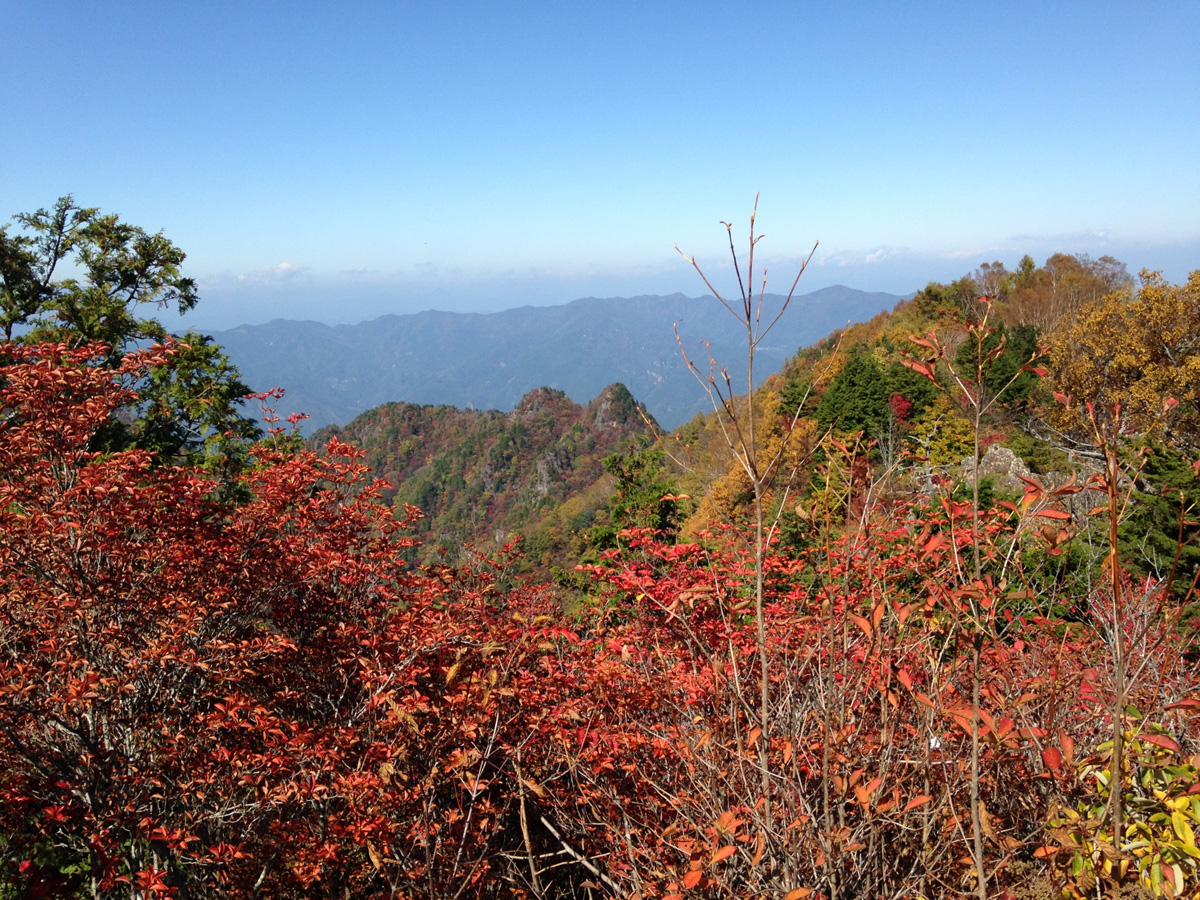 大岳山登山のルートや難易度を紹介！紅葉の季節がおすすめ！