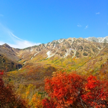 立山駅周辺ホテル 旅館ランキング 観光におすすめ宿には温泉も Travelnote トラベルノート