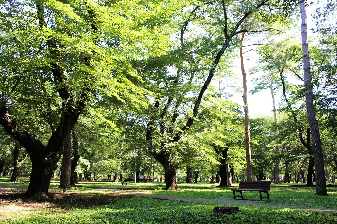 大宮公園の駐車場案内 出かける時には事前にチェックしておこう Travelnote トラベルノート