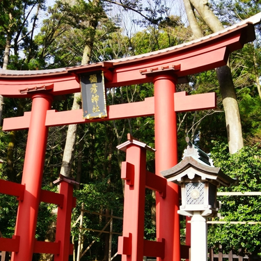 新潟で神社仏閣巡り 有名なパワースポットで運気を上げよう Travelnote トラベルノート