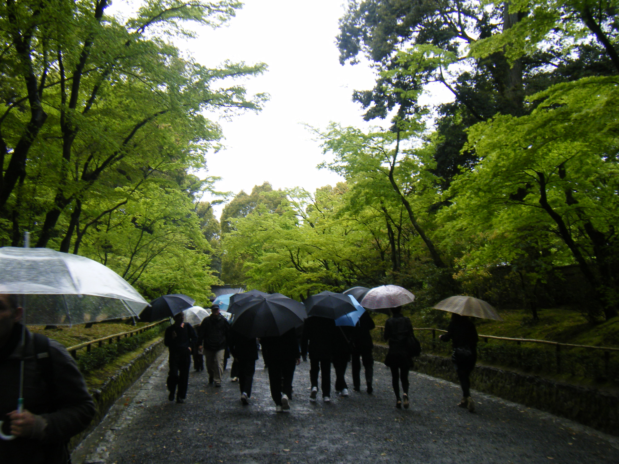 京都・知恩院の見どころを紹介！紅葉のライトアップや七不思議とは？