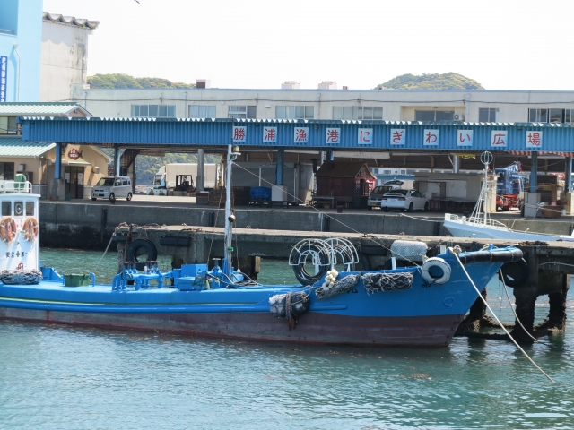 勝浦漁港は釣りやにぎわい市場の海鮮が人気！朝市やランチのおすすめは？