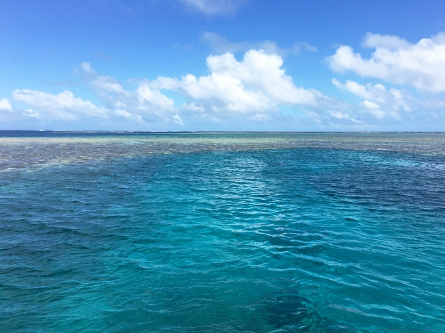 八重干瀬（やびじ）でシュノーケル&ダイビング体験！サンゴ礁の絶景に感動！