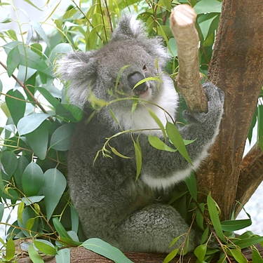 埼玉県こども動物自然公園は1日楽しめる人気スポット 子供が喜ぶ無料体験も Travelnote トラベルノート