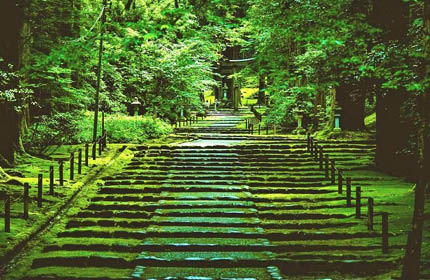 平泉寺白山神社は人気のパワースポット！御朱印やお守りもおすすめ！