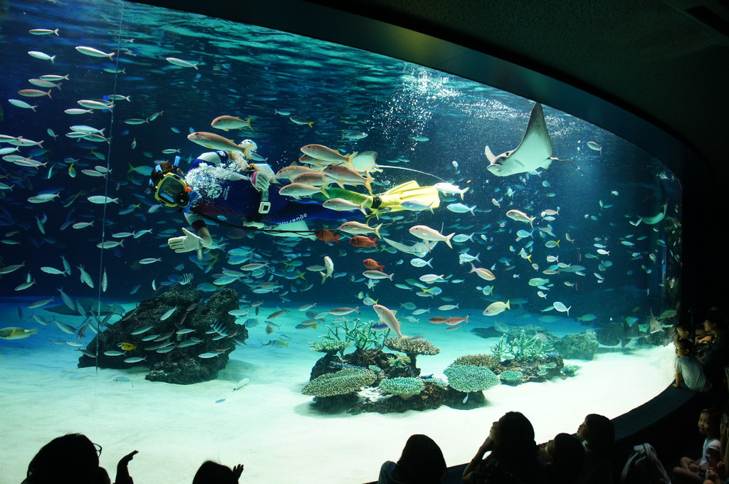 水族館の人気ランキングトップ21 東京近郊 関東のおすすめスポットまとめ Travelnote トラベルノート