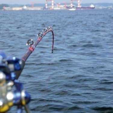 東京湾の釣りスポットはココがおすすめ 初心者でも楽しめるポイント情報まとめ Travelnote トラベルノート