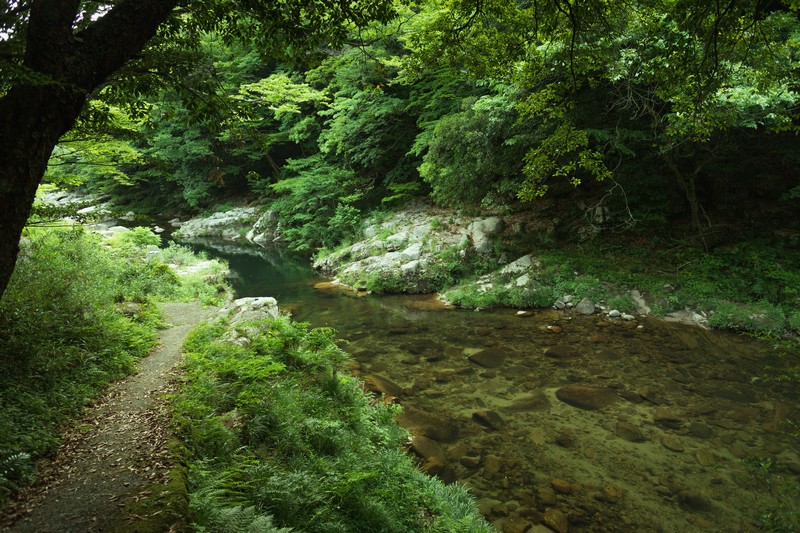 「大王わさび農場」は安曇野の名所！日本一のわさび園でグルメと絶景を堪能！