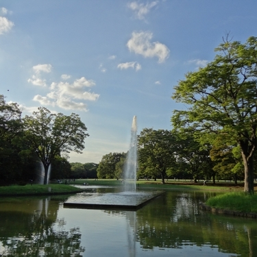 代々木公園近くの駐車場は 無料や安い場所など徹底比較 アクセスや混雑状況も Travelnote トラベルノート