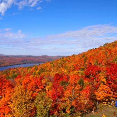 カナダの紅葉名所 メープル街道の見頃の時期は 秋の美しい絶景を見に行こう Travelnote トラベルノート