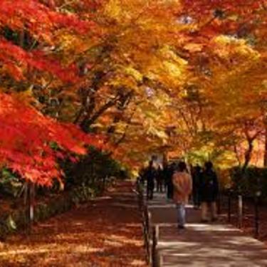 岡山の紅葉スポットおすすめ紹介 ライトアップありの公園など穴場情報も Travelnote トラベルノート