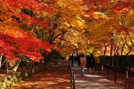 岡山の紅葉スポットおすすめ紹介 ライトアップありの公園など穴場情報も Travelnote トラベルノート