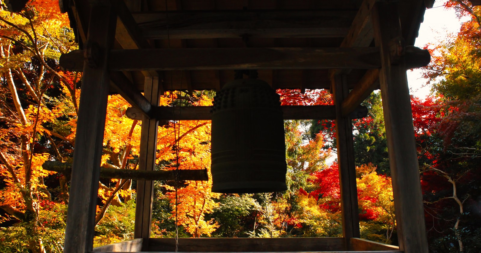 杉本寺は鎌倉で最古のお寺！アクセスや御朱印情報などまとめてご紹介！