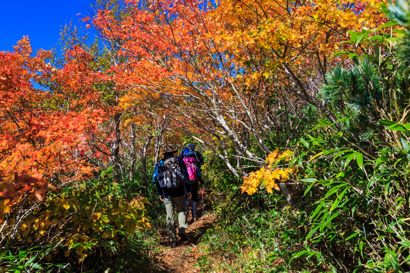 谷川岳登山の難易度は 各ルートやアクセス情報なども徹底ガイド Travelnote トラベルノート