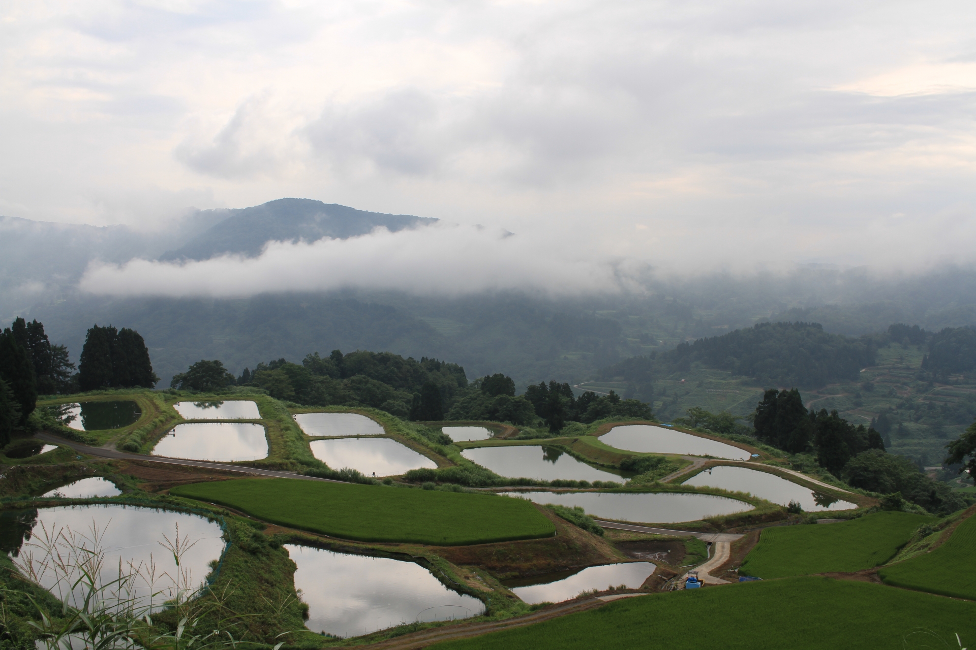 山古志観光は闘牛や棚田が見どころ 自然の絶景にも心癒されるおすすめの旅先 Travelnote トラベルノート