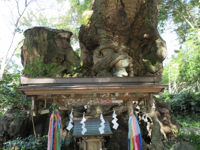 熱海の神社のパワースポットを紹介 来宮神社をはじめ人気の場所を一挙ご紹介 Travelnote トラベルノート