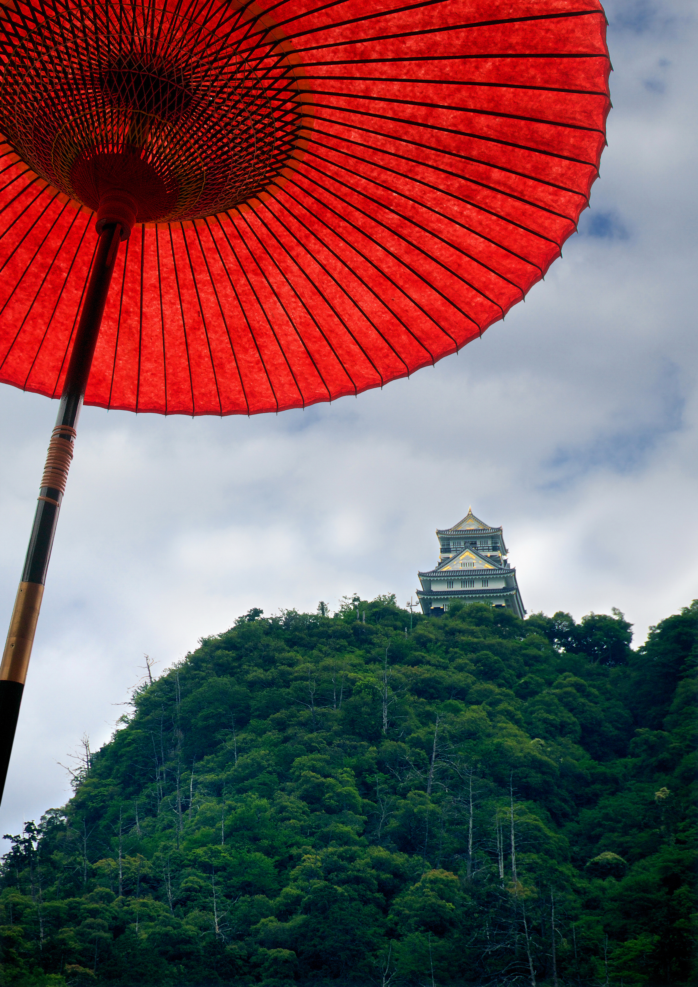 岐阜で夜景スポットならココ ドライブやデートに人気の場所を紹介 Travelnote トラベルノート