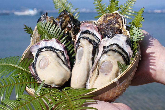 宮島で牡蠣なら食べ放題がおすすめ！旬の時期は？祭りや食べ歩きも楽しい！