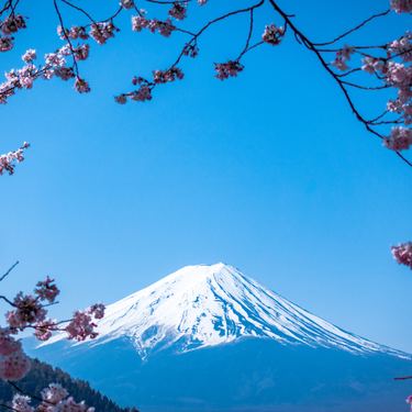 静岡方言の一覧 面白いものから可愛いものに語尾の特徴もまとめてご紹介 Travelnote トラベルノート