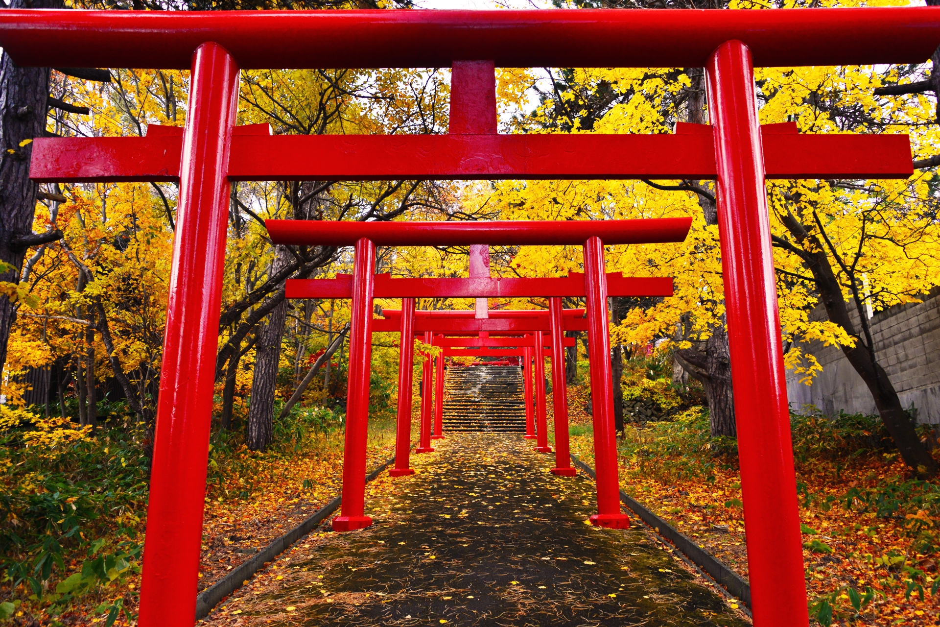 神奈川県のパワースポットまとめ！有名な神社や滝などを巡って運気を上げよう！