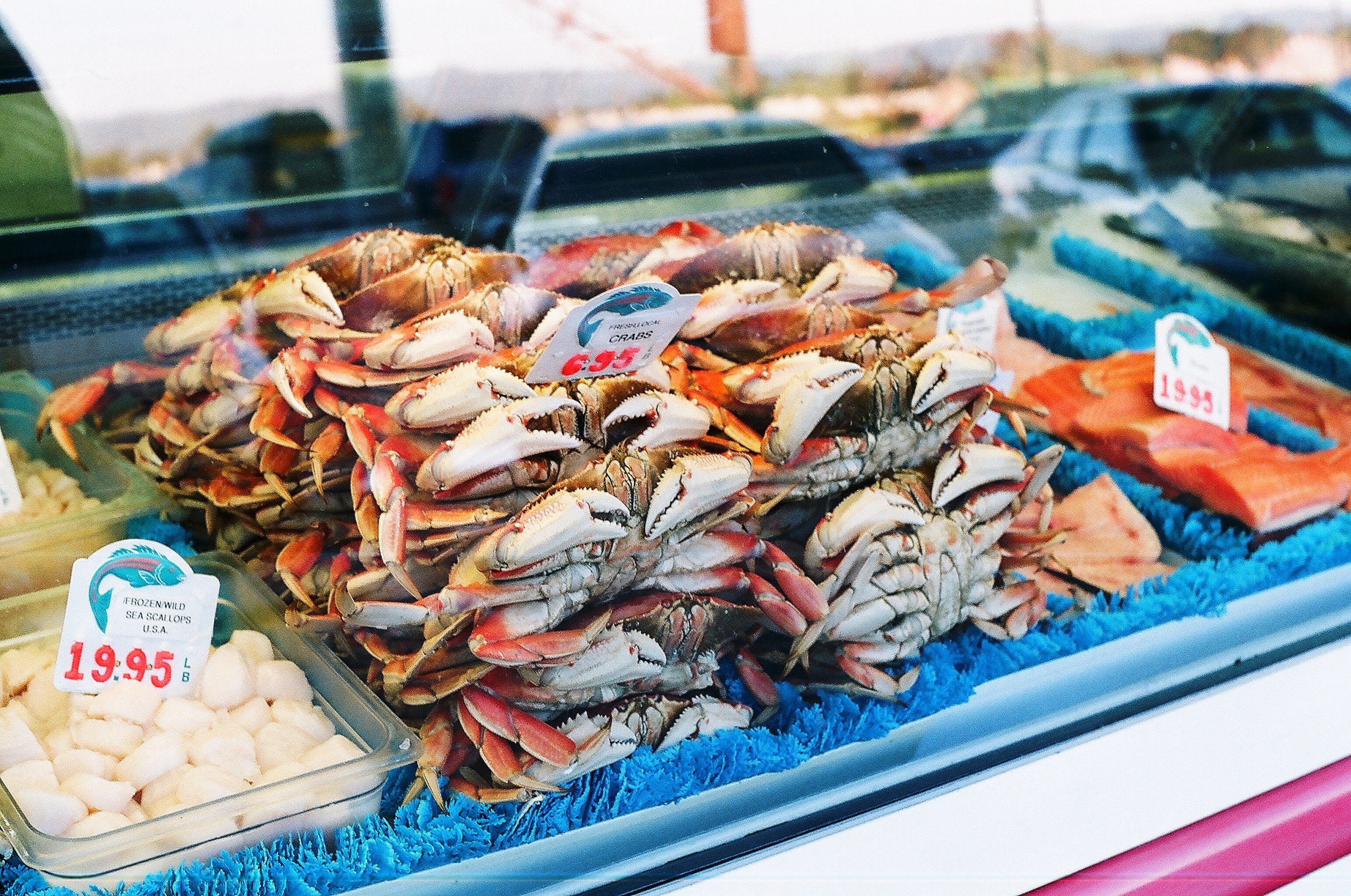 川越卸売市場 がアツい お客様感謝市で新鮮な魚や野菜をゲットしよう Travelnote トラベルノート