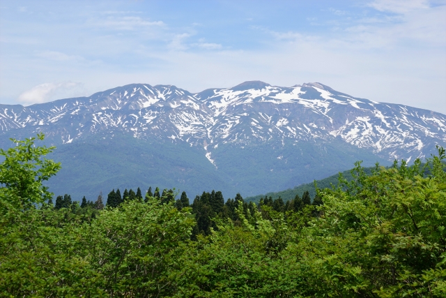 白山比咩神社は北陸最強のパワースポット 御朱印やお守りにアクセスもご紹介 Travelnote トラベルノート