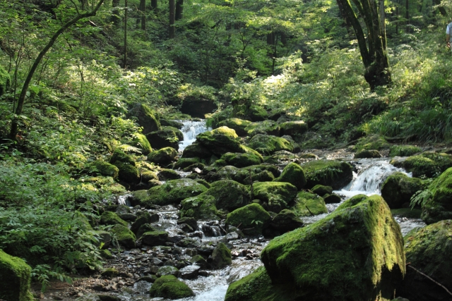 シワガラの滝は隠れたおすすめスポット！魅力やアクセス方法もご紹介！