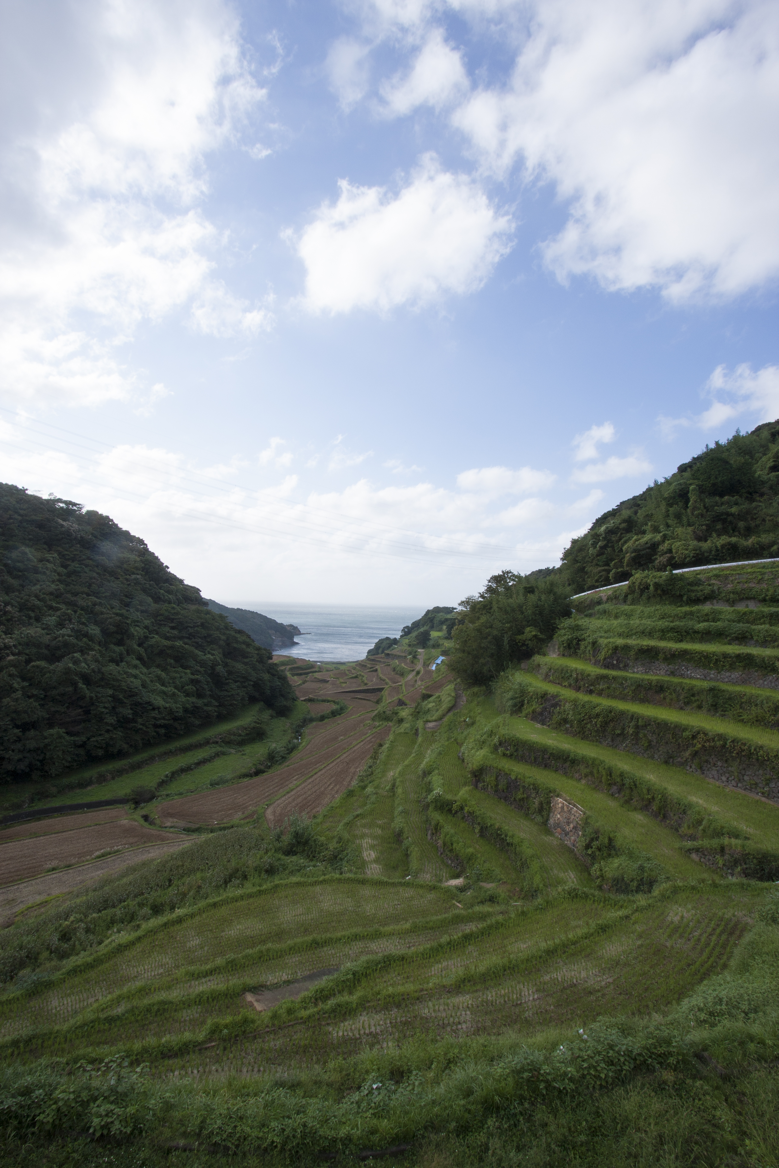 星峠の棚田は新潟自慢の絶景スポット 観光のベストシーズンや行き方は Travelnote トラベルノート