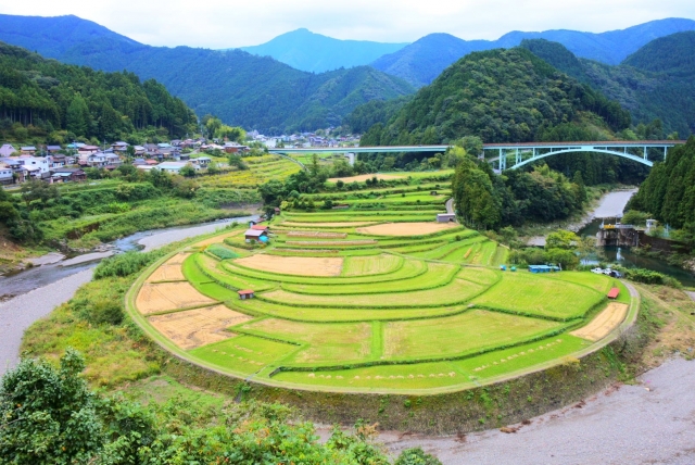 「あらぎ島」は日本の棚田百選に選ばれた景観！見頃やアクセス方法は？