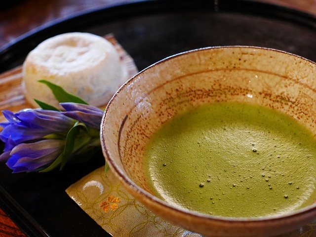 慈光院は奈良が誇る茶の湯の名所！美しい日本庭園を眺めながら癒やしの一時を