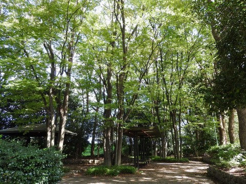 三重県の公園おすすめランキング！人気の遊具や大人も楽しめる所は？